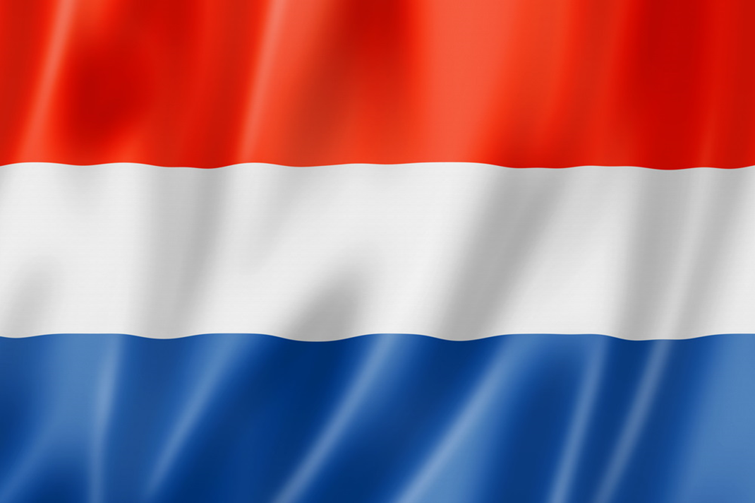 Тепличное хозяйство Нидерландов может откатиться на 10 лет