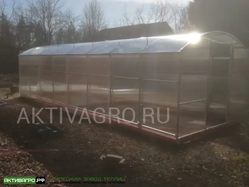 Теплица Ударница Благодатная, ширина 3/3.5 м, труба 40х20 + 20х20 Теплица Ударница Благодатная, ширина 3/3.5 м, труба 40х20 + 20х20